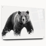 Black bear design wall art collection displayed in an acrylic glass frame, showcasing intricate details and vibrant colors, ideal for nature-themed decor.