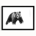 Black bear wall art collection framed in sleek black, showcasing a striking design with a matte finish, perfect for nature-themed decor. Ideal for wildlife enthusiasts.