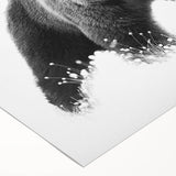 Black bear wall art on rolled canvas showcasing a detailed, artistic representation of a black bear in a natural setting, perfect for wildlife enthusiasts and home decor.
