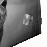 Close-up view of a black bear design wall art piece, showcasing vibrant colors and intricate details on acrylic glass, perfect for wildlife enthusiasts’ decor.