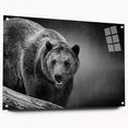 Black bear wall art design displayed in a sleek acrylic frame, showcasing intricate details and vibrant colors, ideal for nature enthusiasts and home decor.