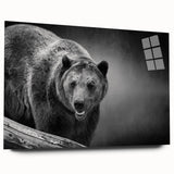 Side view of a sleek black bear wall art piece, designed on acrylic glass, showcasing intricate details and a modern aesthetic, ideal for wildlife enthusiasts.