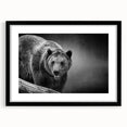 Black bear wall art in a sleek black frame with matting, showcasing intricate design details. Ideal for nature-themed decor, this piece adds a touch of wilderness to any room. Perfect for animal lovers and art collectors alike.