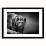 Black bear wall art in a sleek black frame with matting, showcasing intricate design details. Ideal for nature-themed decor, this piece adds a touch of wilderness to any room. Perfect for animal lovers and art collectors alike.