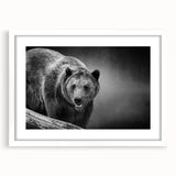 Framed wall art featuring a striking black bear design, set against a white mat for contrast, showcasing intricate details and textures perfect for nature-themed decor.