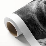 Black bear wall art design on rolled canvas, showcasing intricate details and vibrant colors, perfect for nature-themed decor. Ideal for wildlife enthusiasts.