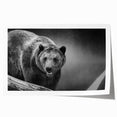 Black bear wall art print showcasing a detailed design with vibrant colors, perfect for wildlife enthusiasts. Ideal for home decor or nature-themed spaces.