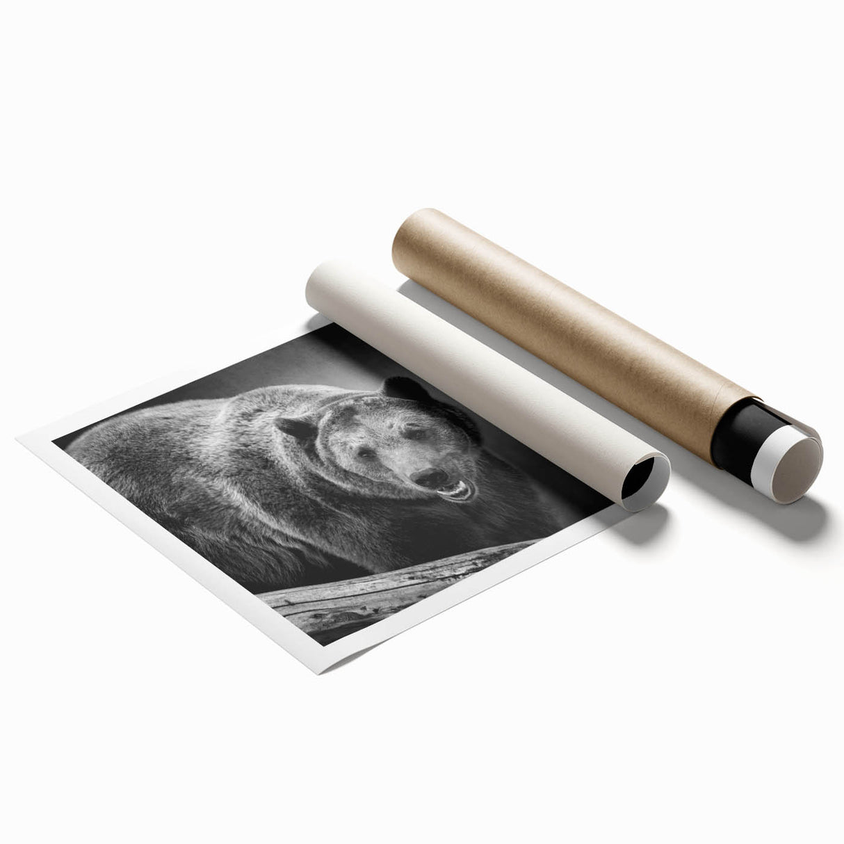 Black bear wall art print showcasing a striking monochrome design on textured paper, rolled and packaged for easy display in home decor settings. Ideal for nature lovers and wildlife enthusiasts.