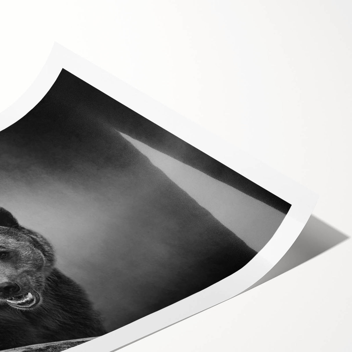 Stylish black bear wall art print featuring intricate design details, ideal for nature-themed decor, rolled for easy display and storage.