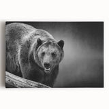 Stretched canvas wall art featuring a realistic black bear design, showcasing intricate details and rich colors, perfect for wildlife enthusiasts and home decor.