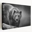Stretched canvas wall art showcasing a striking black bear design, featuring vibrant colors and intricate details, ideal for nature lovers and rustic decor.