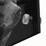 Close-up of a striking black bear design wall art piece, featuring vibrant colors and intricate details, perfect for nature-themed decor in any space. This acrylic glass artwork captures the essence of wildlife, adding a touch of the outdoors to your home or office.