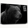 Elegant black bear wall art displayed in a sleek acrylic frame, showcasing a side view with pins, perfect for wildlife enthusiasts and home decor.