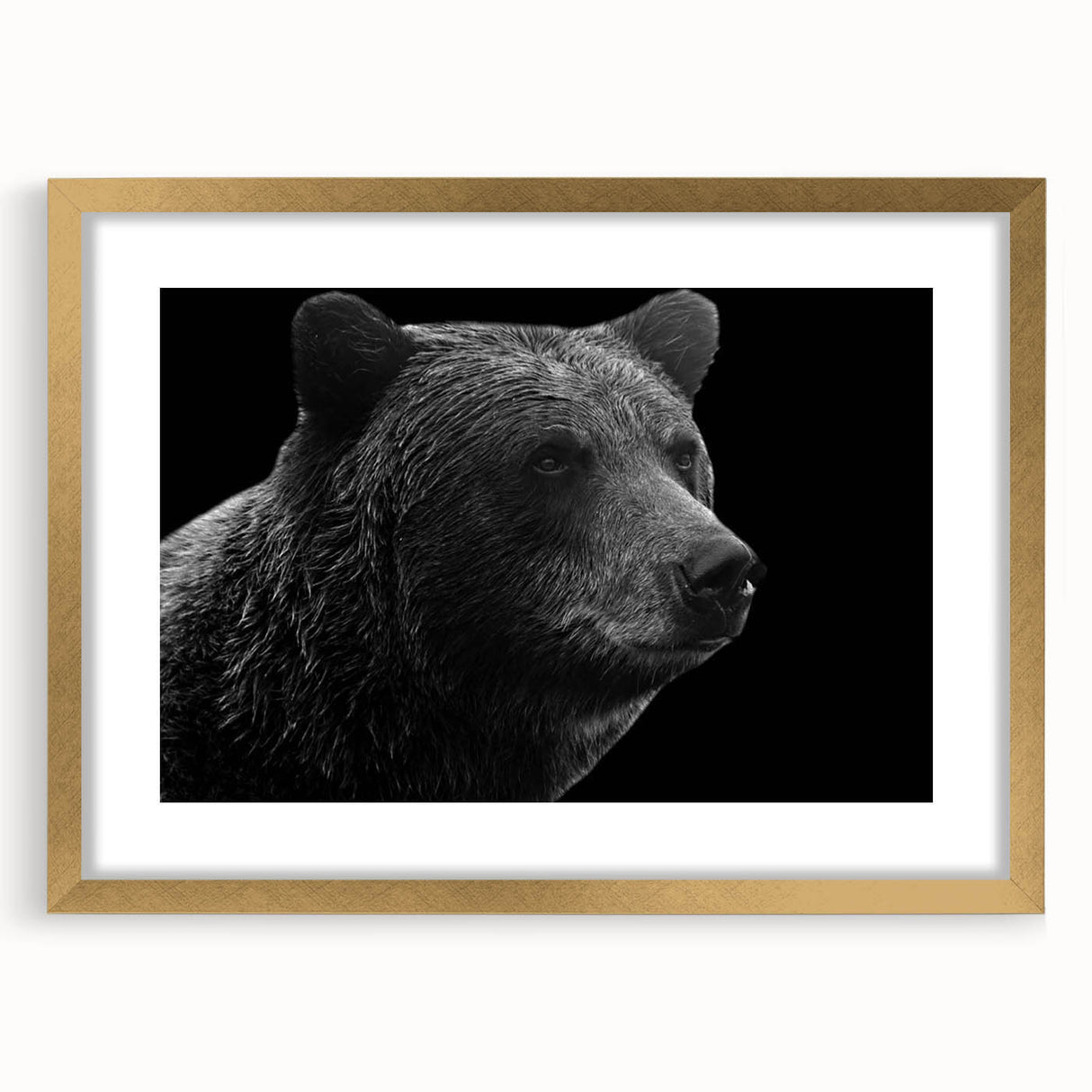 Elegant black bear wall art design framed in gold, showcasing intricate details and modern aesthetics, perfect for nature-inspired home decor.