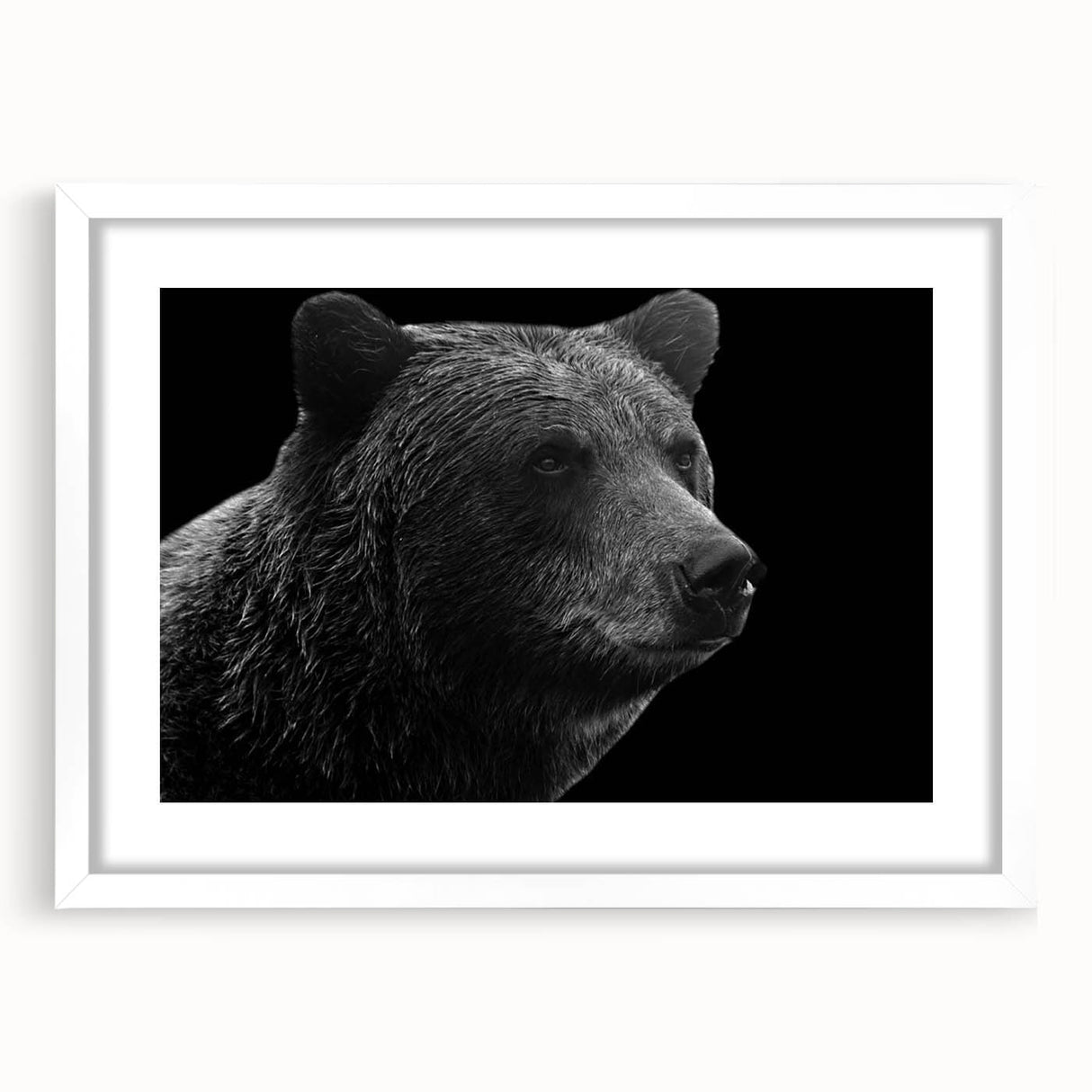 Black bear wall art design displayed in a white frame with a mat, showcasing intricate details and natural colors, perfect for home or cabin decor.