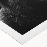 Black bear design wall art on rolled canvas, showcasing intricate detailing and vibrant colors, ideal for nature-themed decor. Perfect for adding a rustic touch to any space.