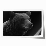 Black bear wall art print featuring an intricate design, showcasing detailed fur textures and naturalistic colors. Perfect for wildlife enthusiasts and home decor. This rolled print is ideal for framing in a living room or office space.