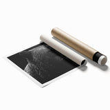 Black bear wall art print showcasing a detailed and striking design, featuring vibrant colors and intricate textures, perfect for nature-themed decor.