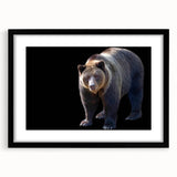 Framed black bear wall art design featuring a sleek black front view with a white mat, ideal for nature-themed home decor and wildlife enthusiasts.