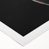 Black bear wall art design printed on rolled canvas, showcasing intricate details and vibrant colors, perfect for nature-inspired decor enthusiasts.