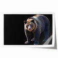 Black bear wall art print showcasing a detailed illustration of a majestic black bear in a natural setting, ideal for wildlife enthusiasts and home decor. The art piece features vibrant colors and intricate detailing, capturing the essence of nature's beauty. Perfect for adding a touch of wilderness to your living space.