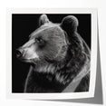 Black bear wall art print featuring a striking design, showcasing a glossy finish and vibrant colors, perfect for nature lovers and home decor enthusiasts.