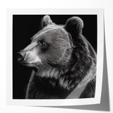 Black bear wall art print featuring a striking design, showcasing a glossy finish and vibrant colors, perfect for nature lovers and home decor enthusiasts.