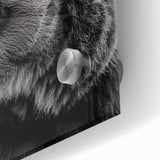 Close-up of a modern black bear wall art piece made from acrylic glass, featuring intricate details and vibrant colors, perfect for wildlife-themed home decor.