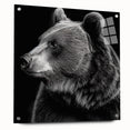 Black bear wall art displayed in a sleek acrylic frame, showcasing a modern design with a minimalist aesthetic, ideal for nature-themed home decor.