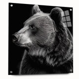 Black bear wall art displayed in a sleek acrylic frame, showcasing a modern design with a minimalist aesthetic, ideal for nature-themed home decor.
