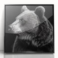 Framed acrylic wall art showcasing a black bear design with a sleek black frame, ideal for nature lovers and home decor enthusiasts. Perfect for adding a touch of wilderness to any space.