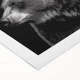 Black bear wall art print on rolled canvas, showcasing a striking wildlife design with intricate details and rich colors, ideal for nature-themed decor.