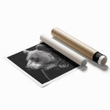 Black bear wall art print showcasing a detailed, realistic design on high-quality paper. Ideal for nature-themed decor, this artwork adds a striking focal point to any room.