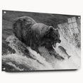Black bear wall art design displayed in an acrylic glass frame, showcasing a side view with elegant pins for mounting. Ideal for nature-inspired decor.