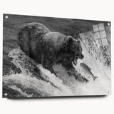 Black bear wall art design displayed in an acrylic glass frame, showcasing a side view with elegant pins for mounting. Ideal for nature-inspired decor.
