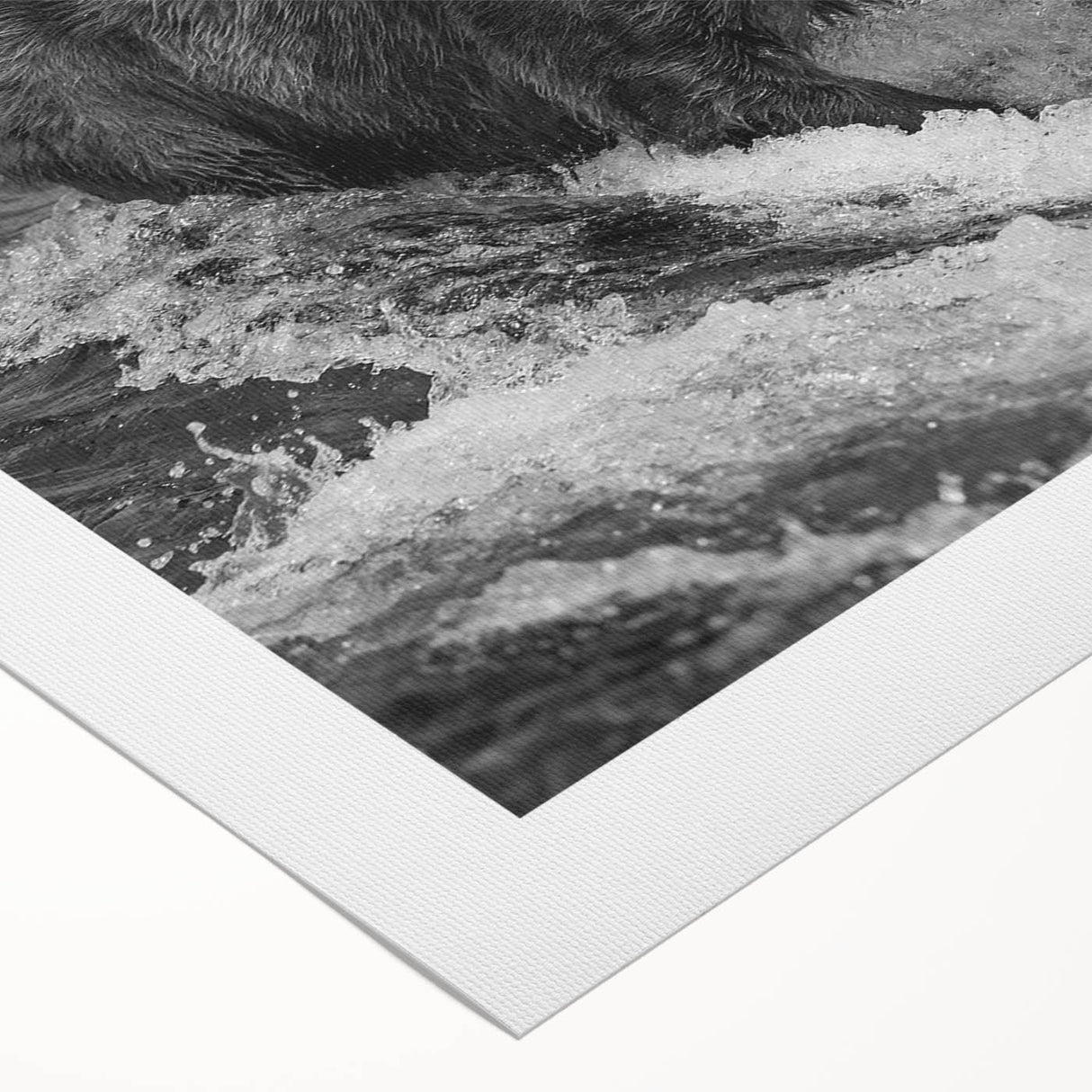 Black bear wall art design on rolled canvas, showcasing a detailed, realistic depiction of a majestic black bear against a natural background, ideal for wildlife enthusiasts and home decor.