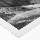 Black bear wall art design on rolled canvas, showcasing a detailed, realistic depiction of a majestic black bear against a natural background, ideal for wildlife enthusiasts and home decor.