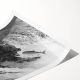 Black bear wall art print showcasing a detailed illustration of a majestic black bear in a natural setting, perfect for wildlife enthusiasts and home decor.