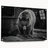 Black bear wall art design in acrylic glass, showcasing a side view with pin details; perfect for nature-themed decor and wildlife enthusiasts.