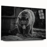 Black bear wall art design displayed in a sleek acrylic frame, showcasing a side view of the artwork with vibrant colors and intricate details, perfect for wildlife enthusiasts.