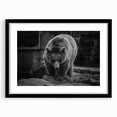 Black bear wall art framed with a mat, showcasing a detailed black bear design on a white background. Ideal for nature lovers and home decor enthusiasts, this artwork adds a rustic touch to any space.
