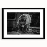 Black bear wall art framed with a mat, showcasing a detailed black bear design on a white background. Ideal for nature lovers and home decor enthusiasts, this artwork adds a rustic touch to any space.