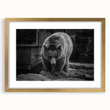 Black bear wall art framed in gold with a mat, showcasing a detailed illustration of a majestic black bear in a natural setting, perfect for wildlife enthusiasts.