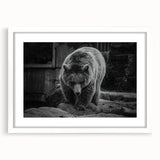 Black bear wall art design framed in white, showcasing intricate details and vibrant colors, perfect for nature-themed home decor and wildlife enthusiasts.