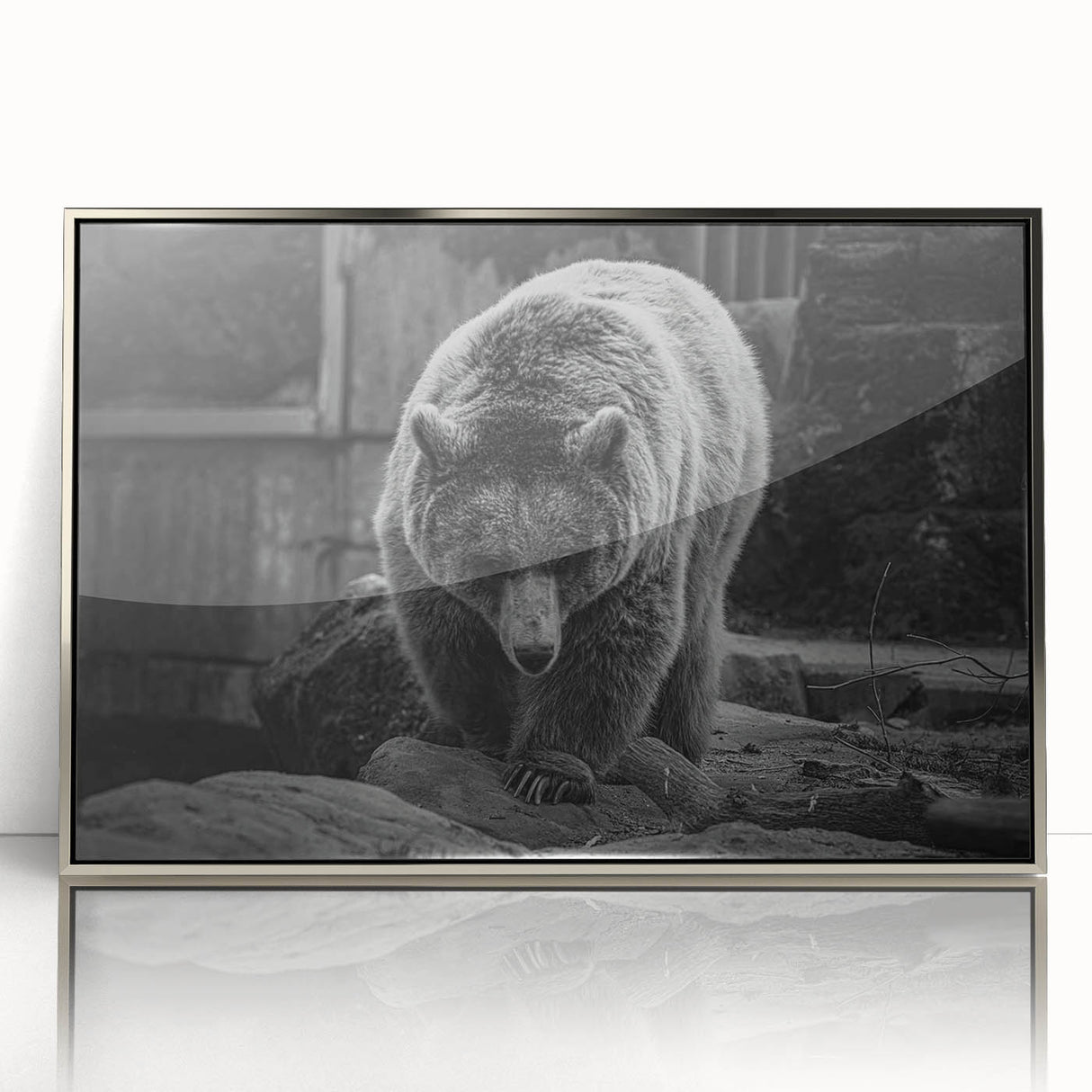 Framed wall art showcasing a black bear design in a modern acrylic frame with a silver finish, perfect for nature-themed decor and wildlife enthusiasts.