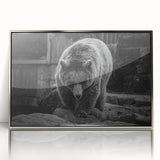 Framed wall art showcasing a black bear design in a modern acrylic frame with a silver finish, perfect for nature-themed decor and wildlife enthusiasts.