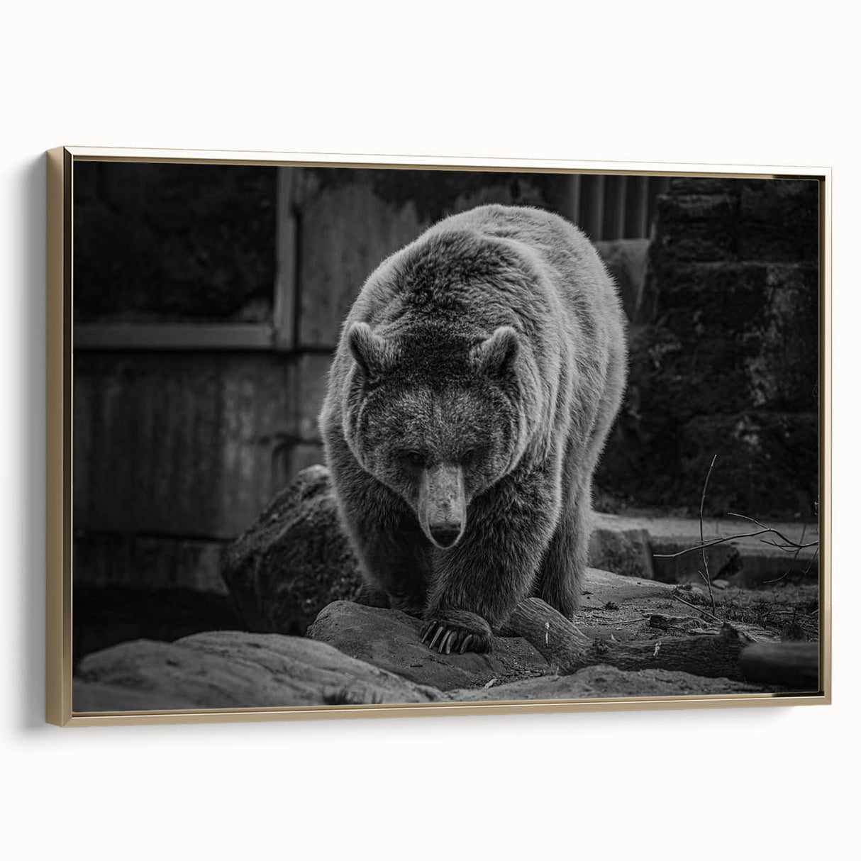 Framed canvas wall art showcasing a black bear design with gold accents, highlighting its intricate details and contemporary style, perfect for wildlife enthusiasts.