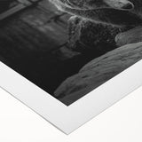 Black bear wall art design on rolled canvas, featuring intricate details and rich colors, ideal for nature-themed decor, presented in a protective cardboard tube.