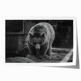 Black bear wall art print showcasing a detailed illustration of a black bear against a minimalist background, perfect for nature-themed decor.