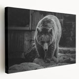 Black bear wall art design displayed on stretched canvas, showcasing detailed fur textures and natural colors, perfect for wildlife enthusiasts and home decor.
